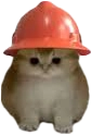 a little guy in a hard hat